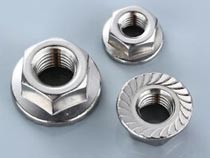 Super-Corrosion-Resistant 316 Stainless Steel Serrated Flange Nuts